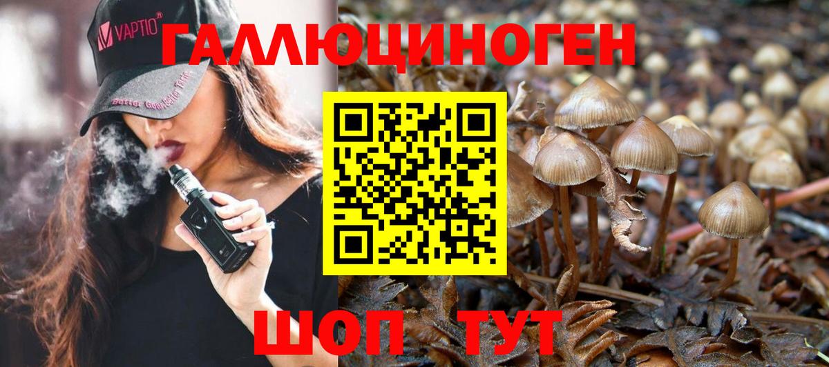 Псилоцибиновые грибы GOLDEN TEACHER  Псилоцибиновые грибы GOLDEN TEACHER  где купить наркоту  Чернушка  Вход с VPN 